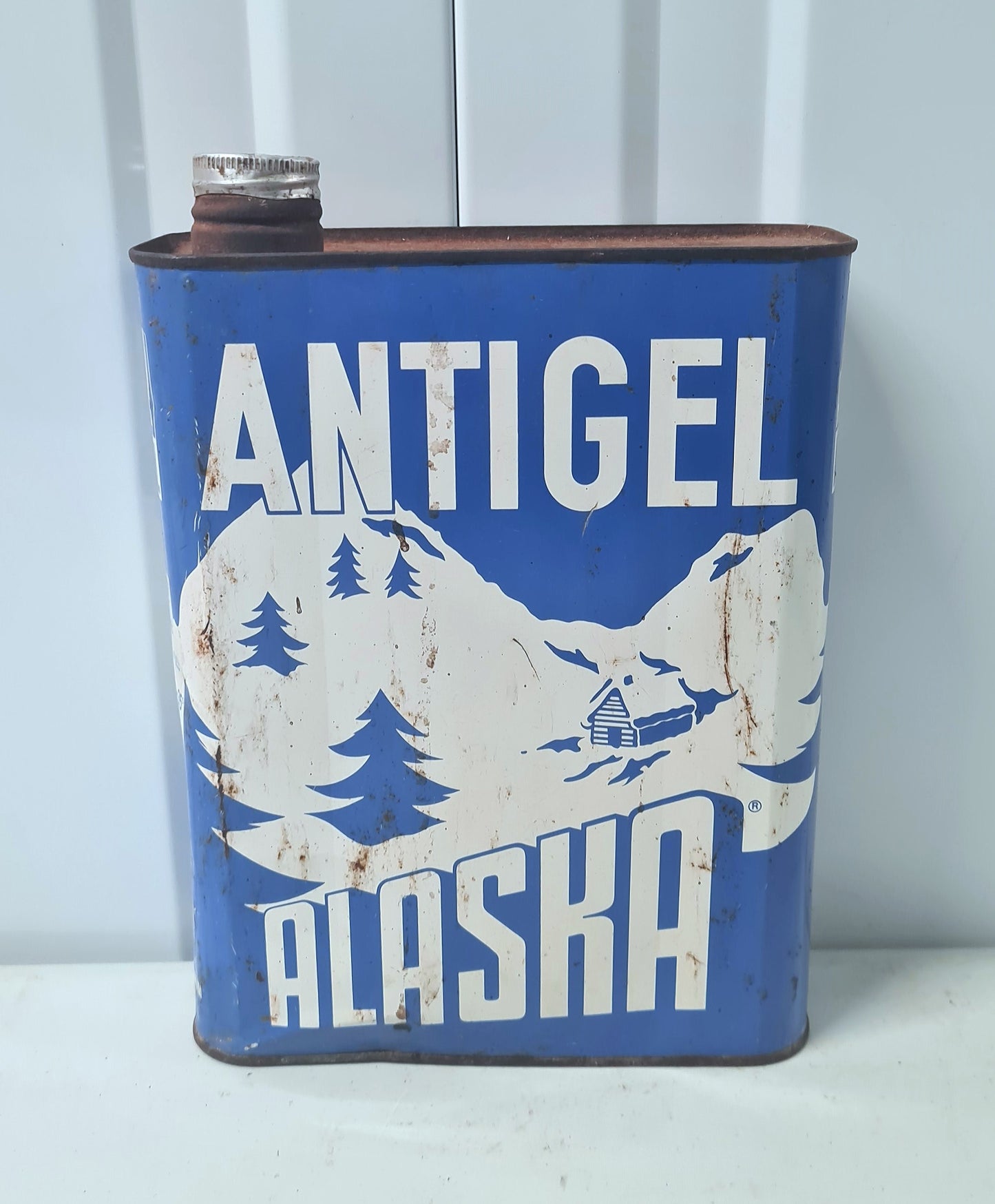 Bidon antigel ALASKA