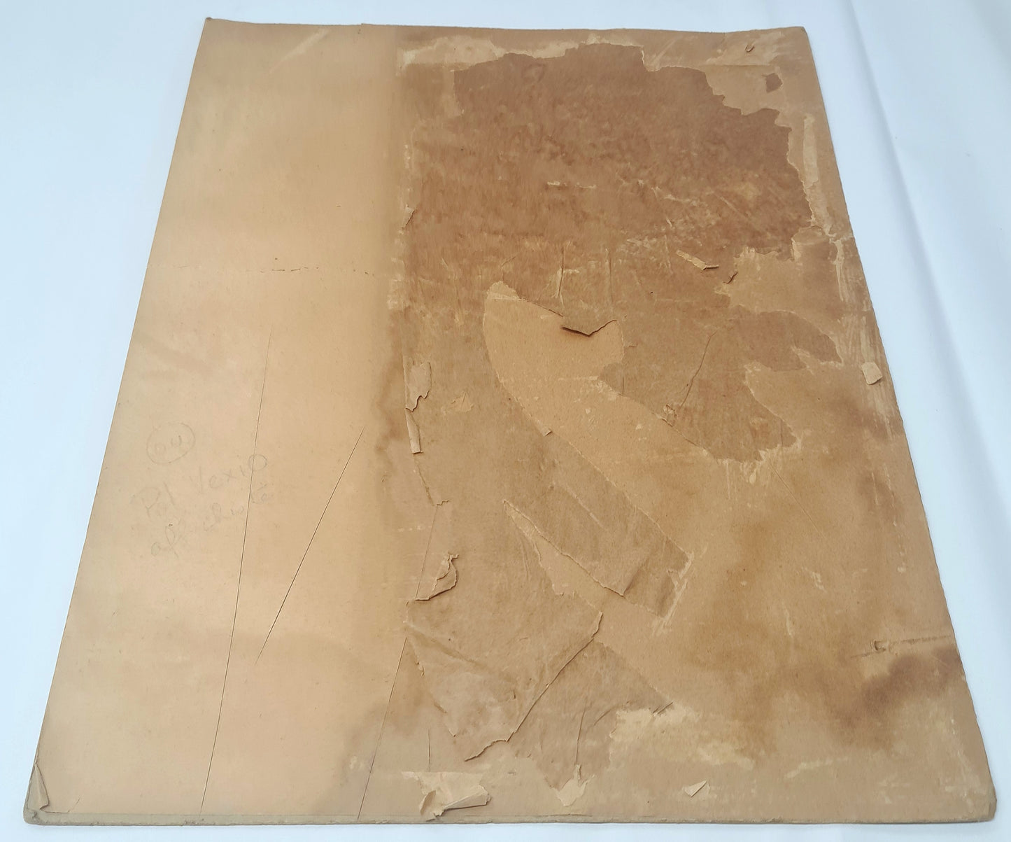 Carton SHELL