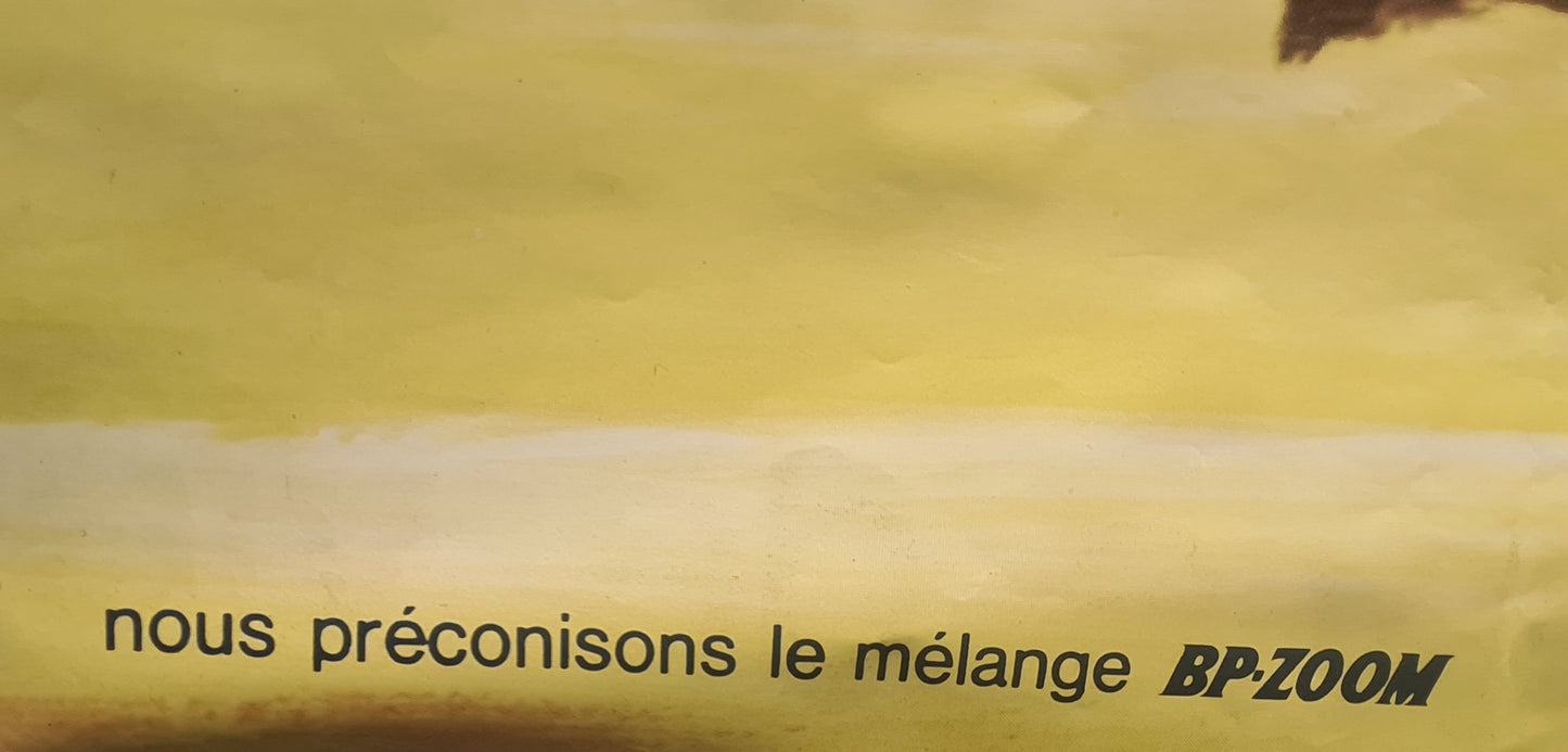 Affiche PEUGEOT 101-102