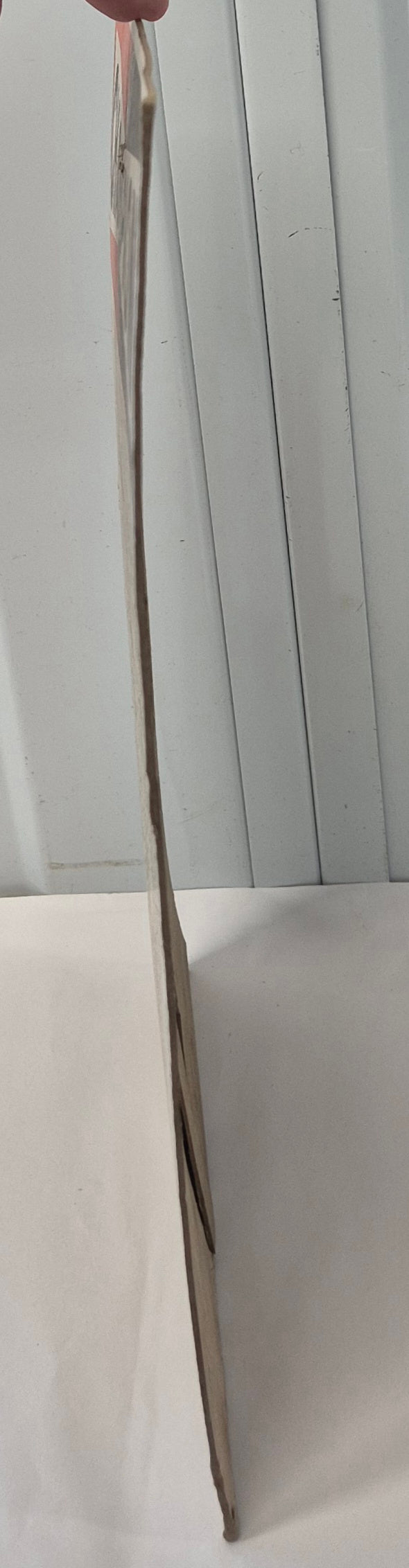 Carton Bougie CHAMPION 2 Roues