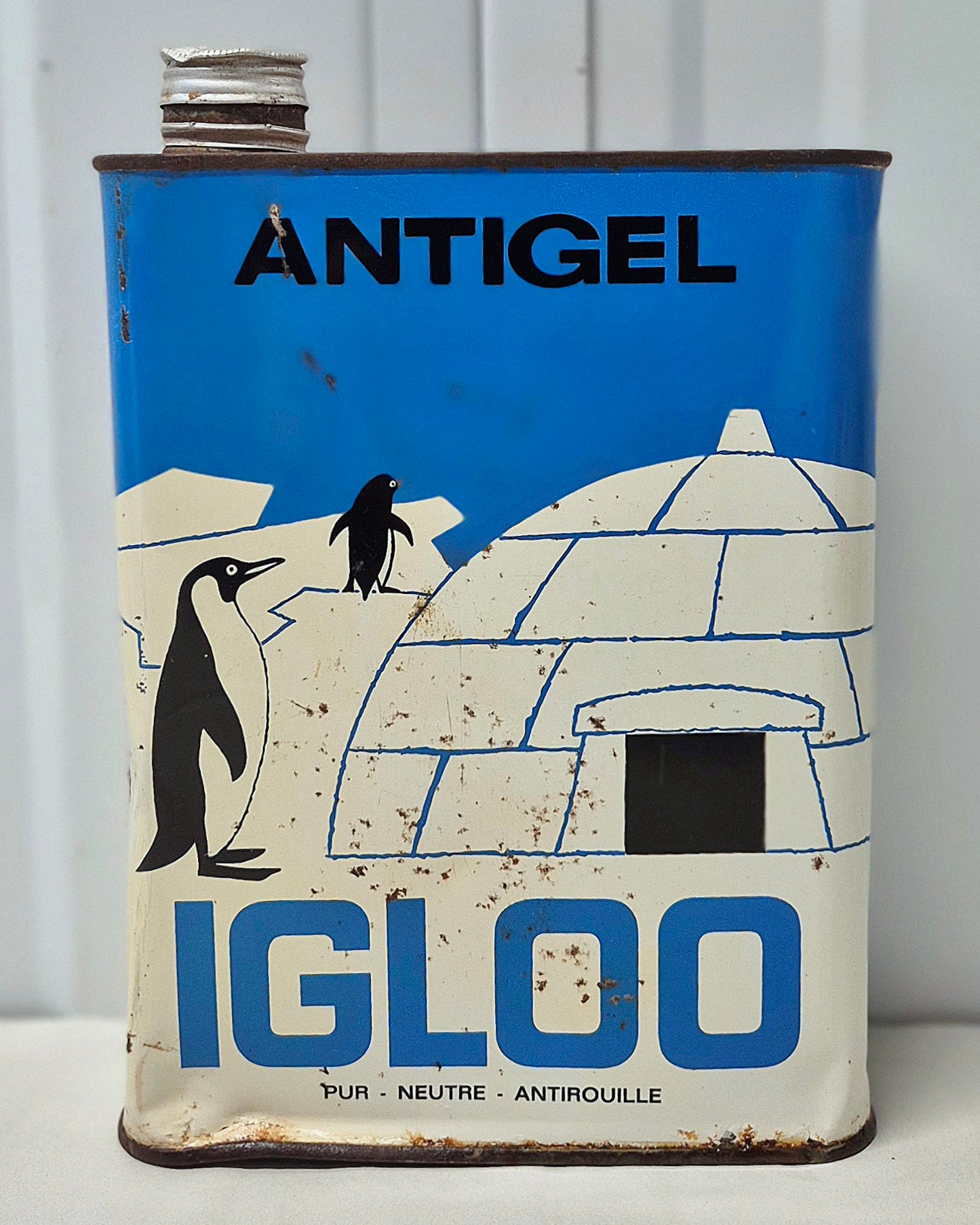 Bidon antigel IGLOO